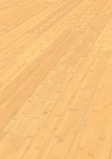 essence de bois bambou