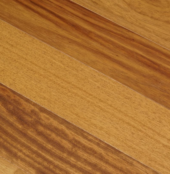 essence de bois : iroko