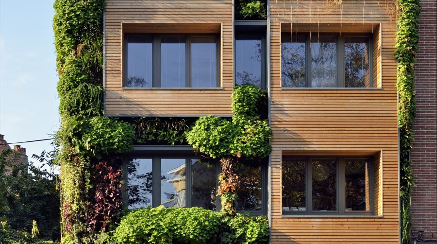 décorer son bardage avec des plantes