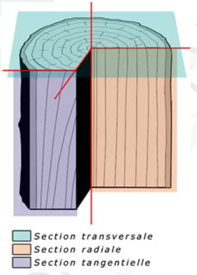 transformation du bois - débit